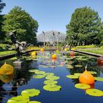 Missouri Botanical Garden