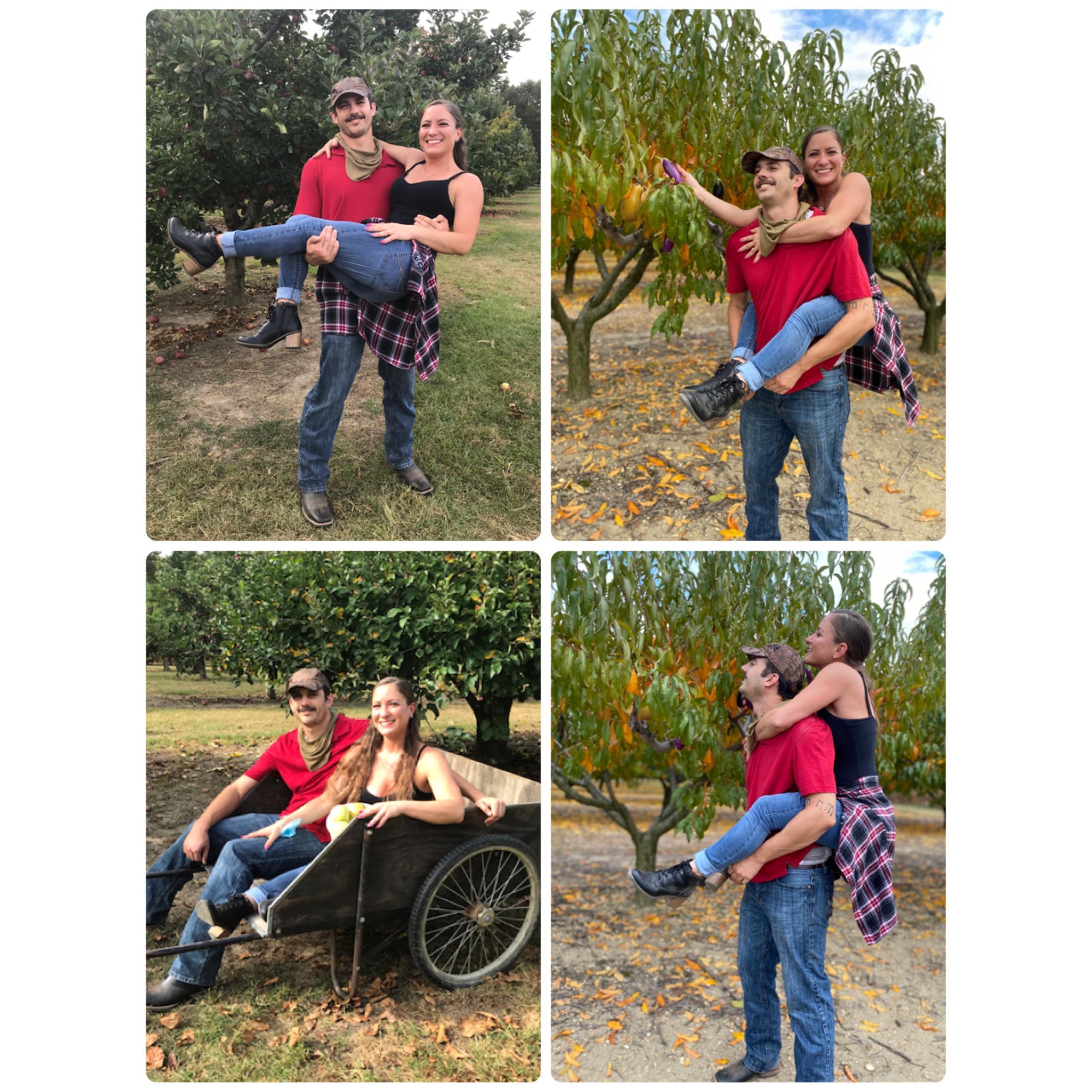 Apple picking 2020