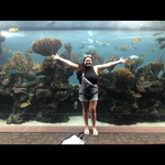 Bermuda Aquarium, Museum and Zoo