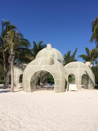The Wedding Website of Joseph Campos and Jazmin Harris