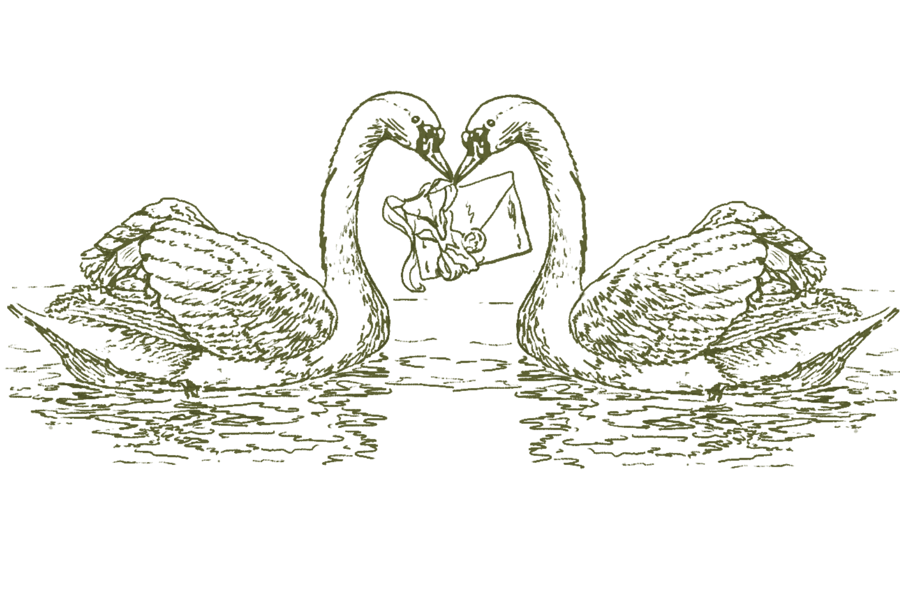The Wedding Website of Taylor Elizabeth Saunders and Brendan Daniel Madden