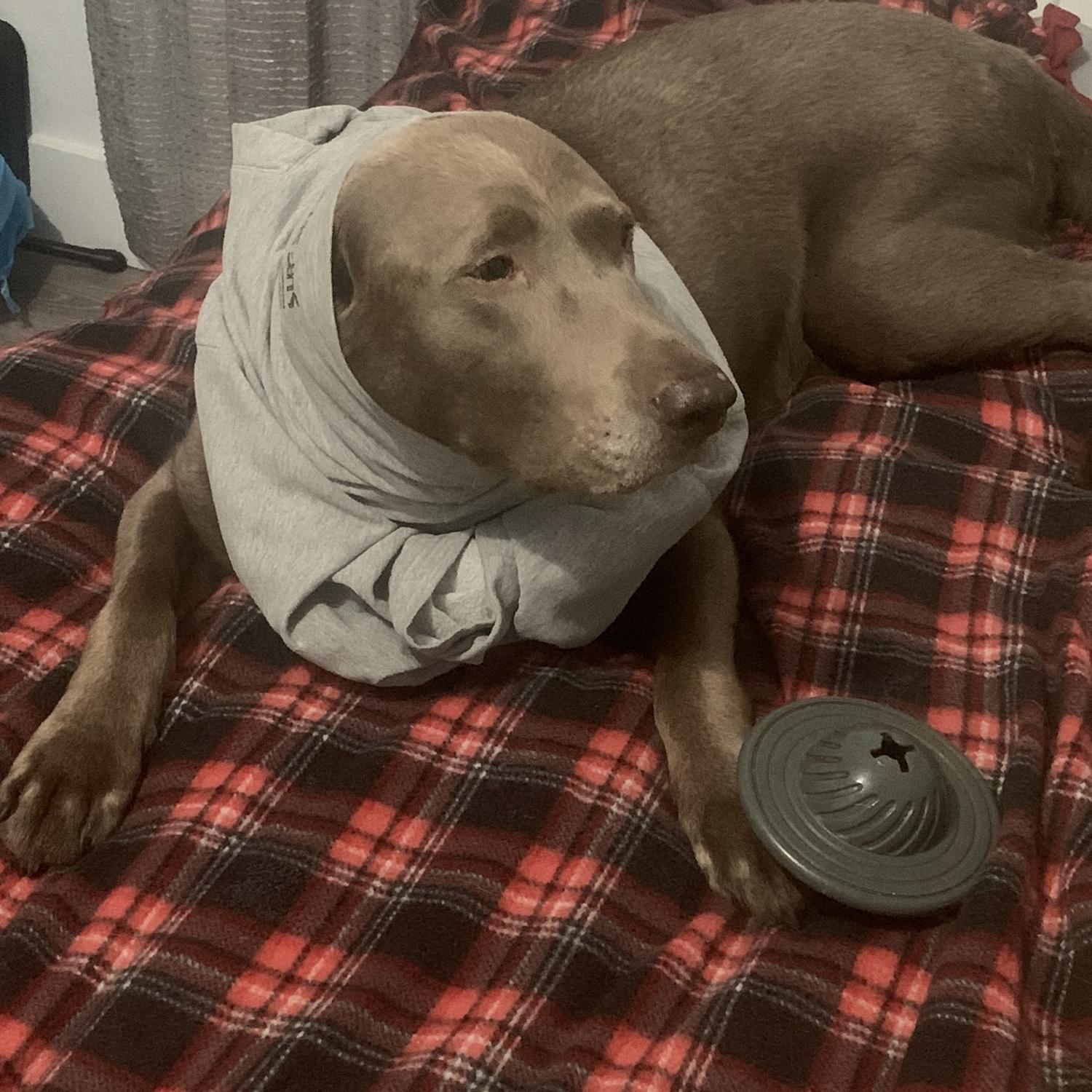 Poor Luna, Thanks Eric..