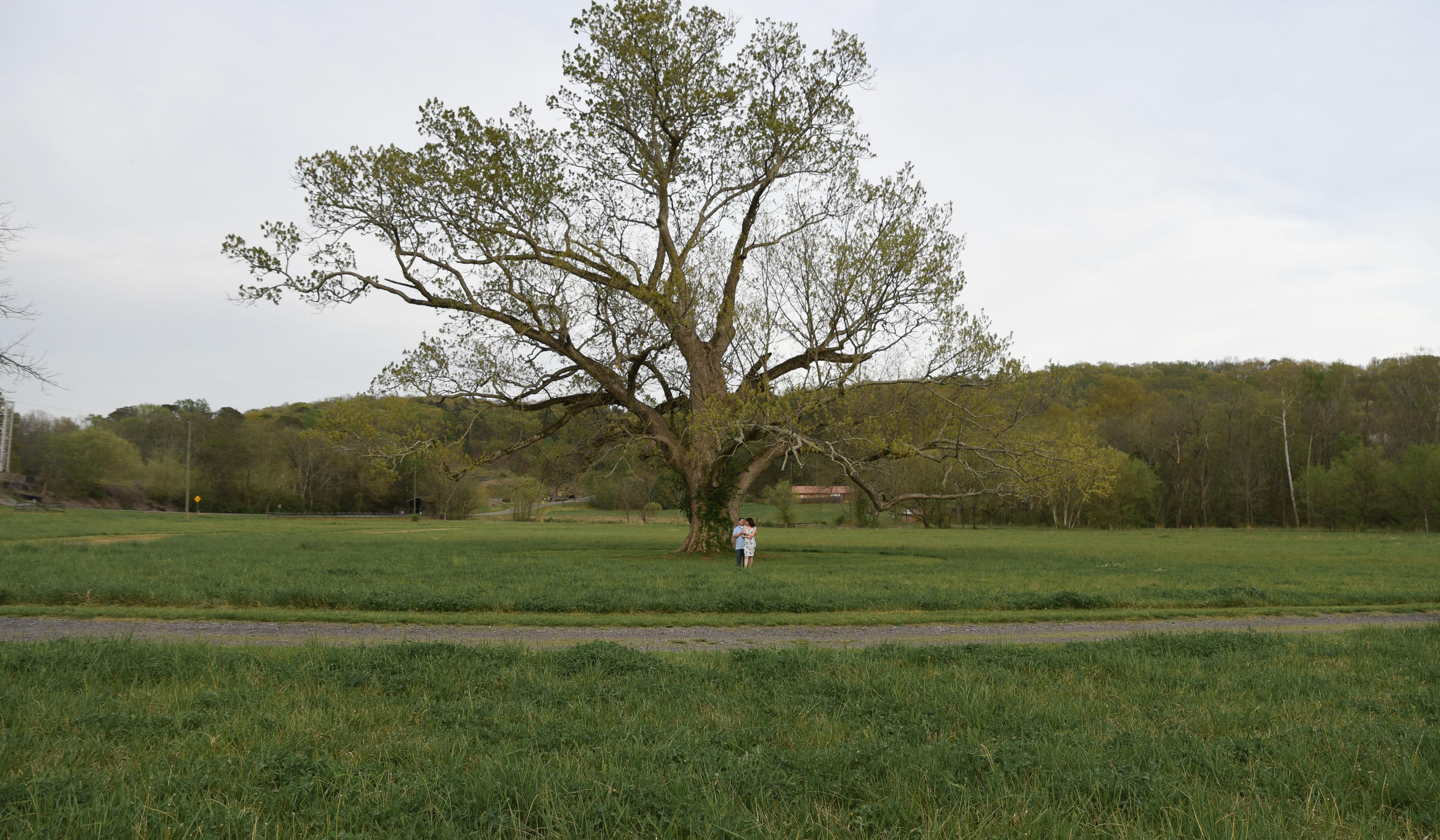 Hero Slideshow Image 1