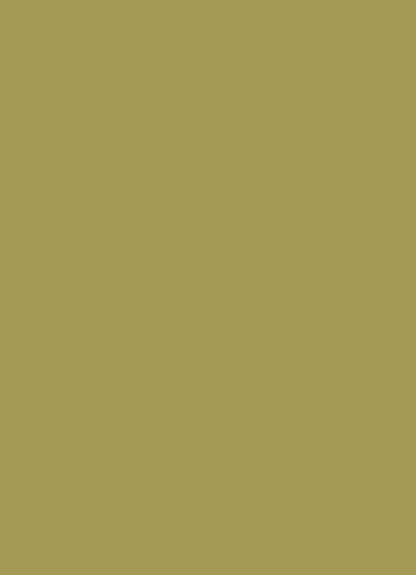 Oriabel Classic | Olive Green | Zola Wedding Invitations