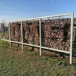 Courtship Maze & Wall Of Love
