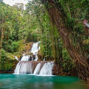 Honeymoon- YS Falls and Appleton Estate Rum Tour