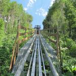 Alpine Slides & Mountain Coasters