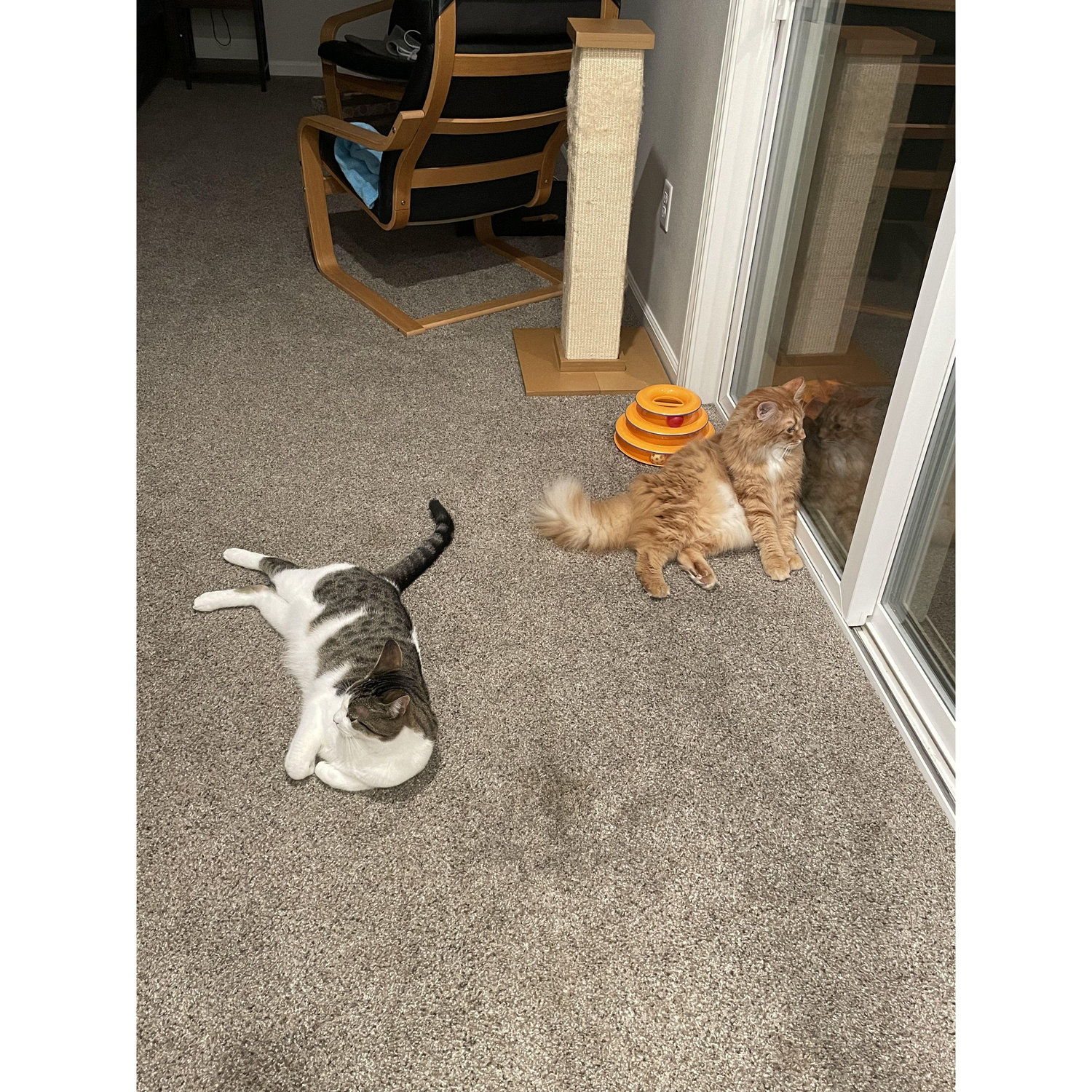 Cocoa & Caramel