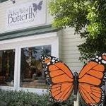 The Key West Butterfly and Nature Conservatory