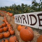 The Bartels Farm