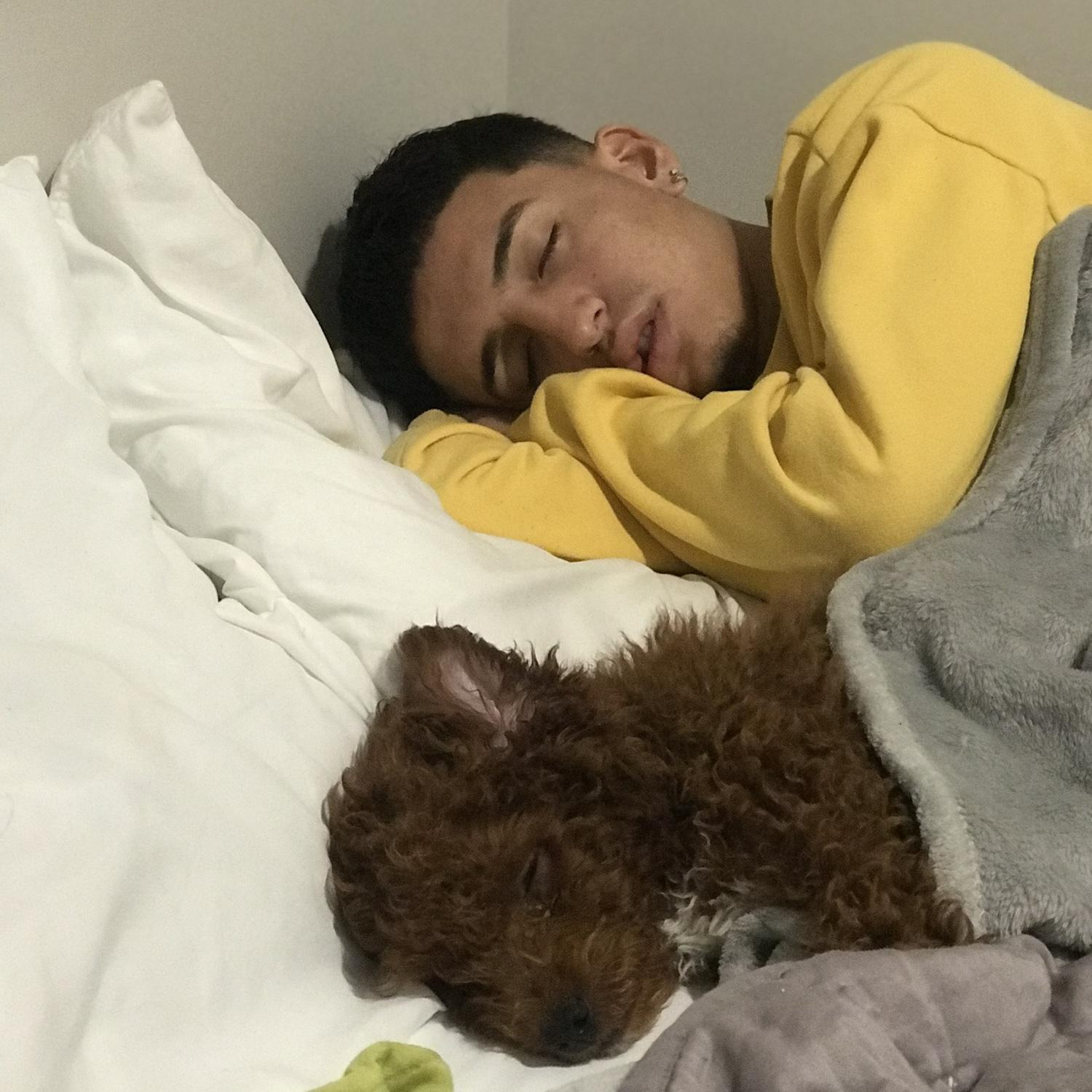 Man’s bestfriend