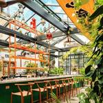 Somerset Bar