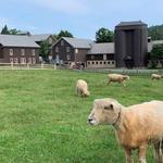 Billings Farm & Museum