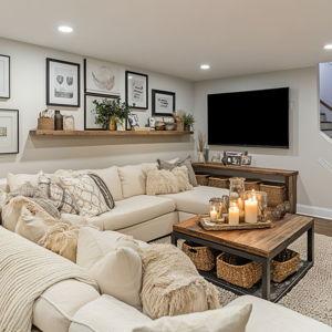 Basement Furnishings