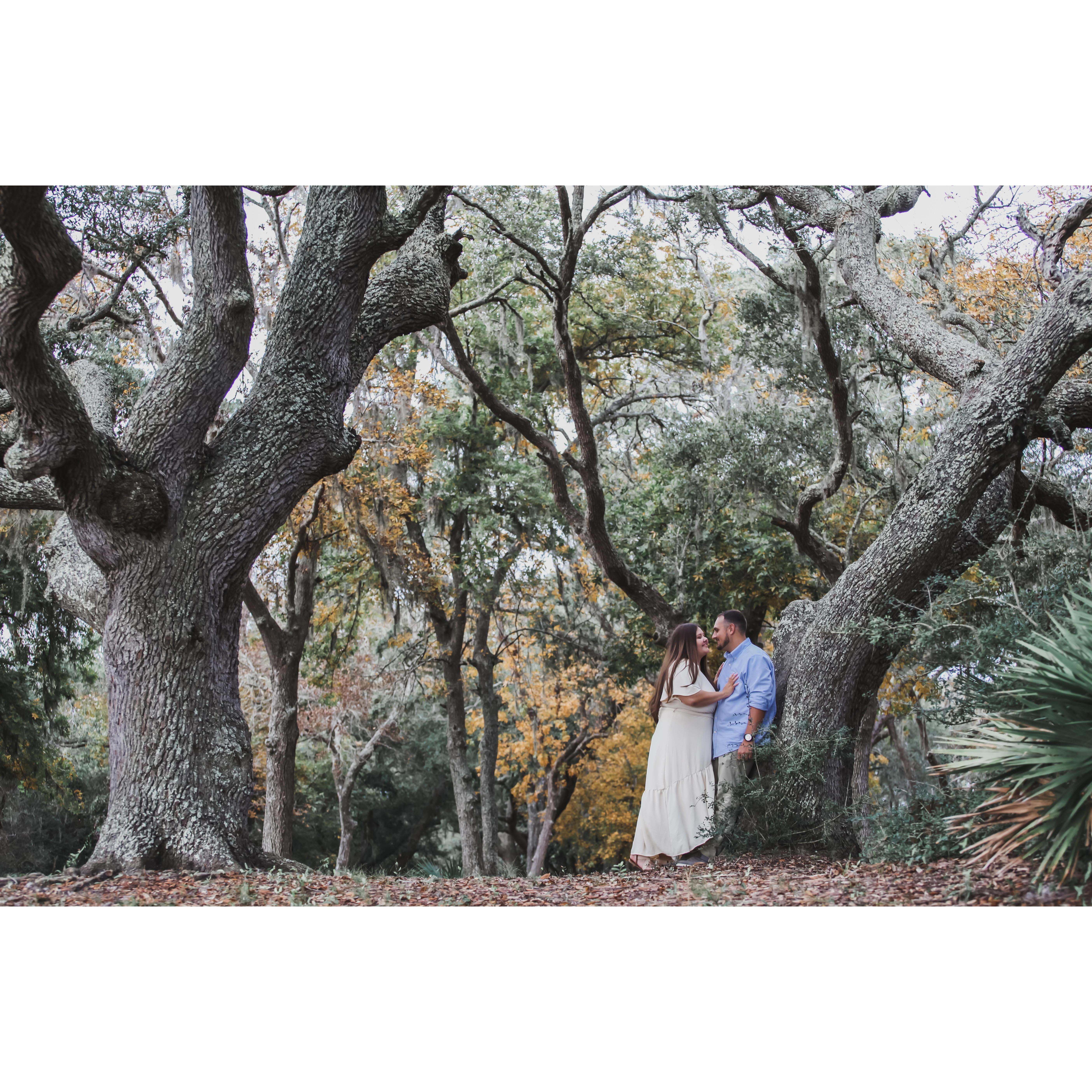 THE BEAUTIFUL OAKS