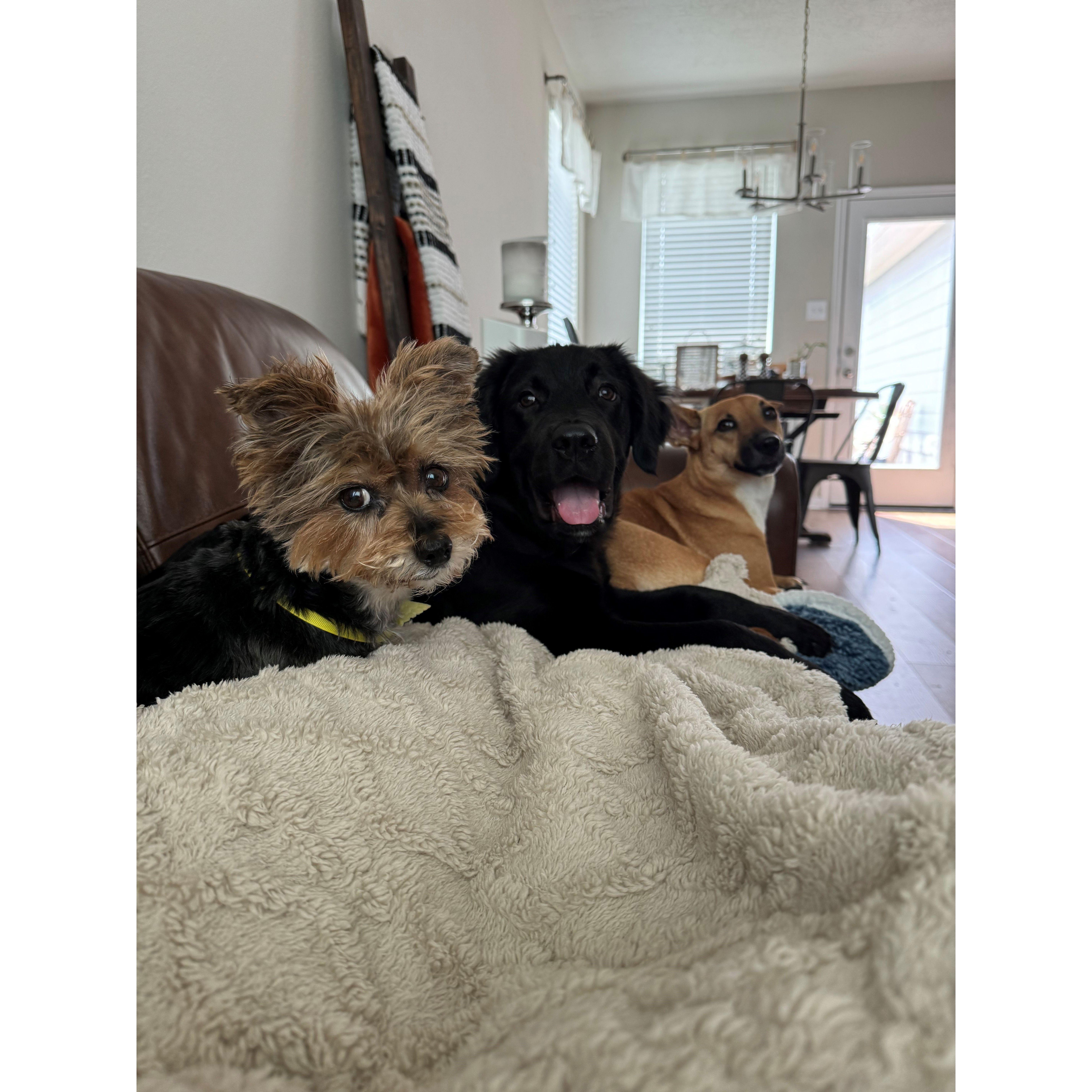 Paisely, Kevin, and Hazel