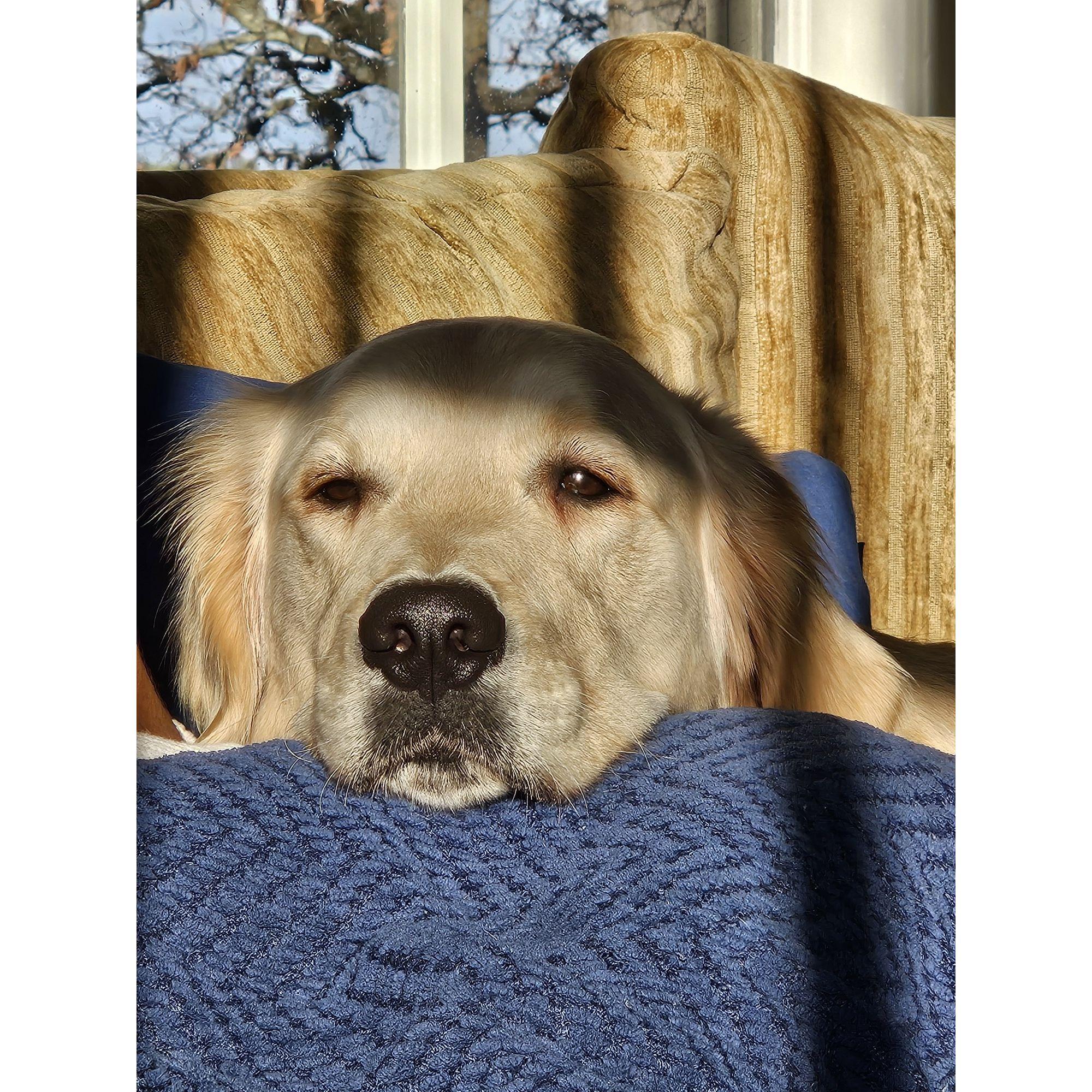 The nose in high-res.