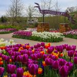 Tulsa Botanic Garden