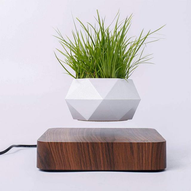 Levitating Air Bonsai Pot, Rotation Flower Pot Planters, Magnetic Levitation Suspension Floating Pot, Potted Plant Home Desk Decor in Flower Pots & Planters from Home & Garden on (Dark Color)