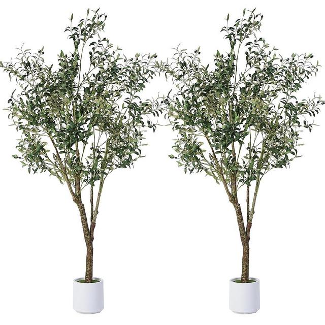Jocoevol Artificial Olive Tree 6FT, Indoor Fake Silk Plant with Realistic Trunk, Leaves, Fruits and White Planter, Faux Potted Tree for Home Decor and Housewarming Gift, 2 Pack