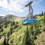 Snowbird Resort