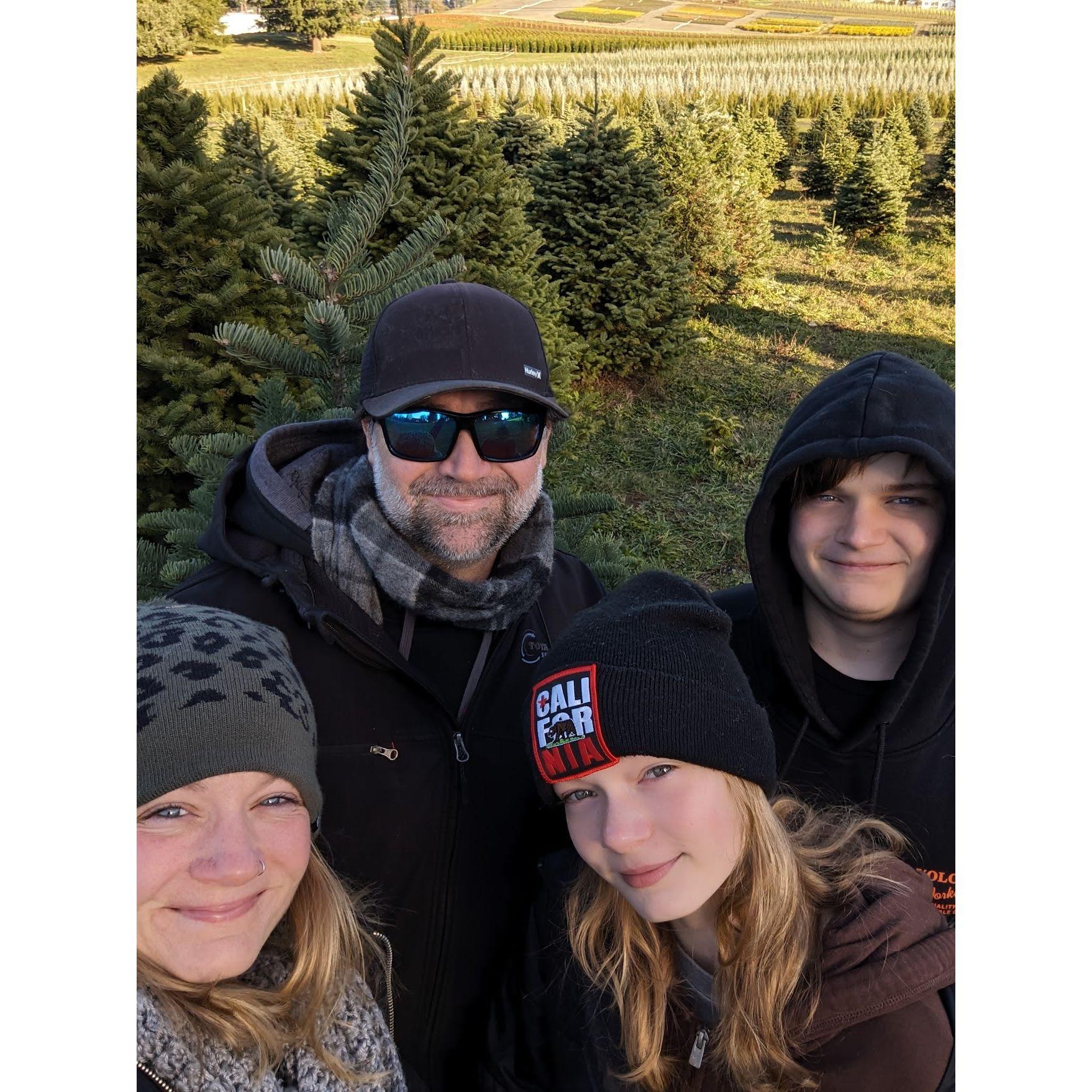 Finding our Christmas tree with the kids 2023