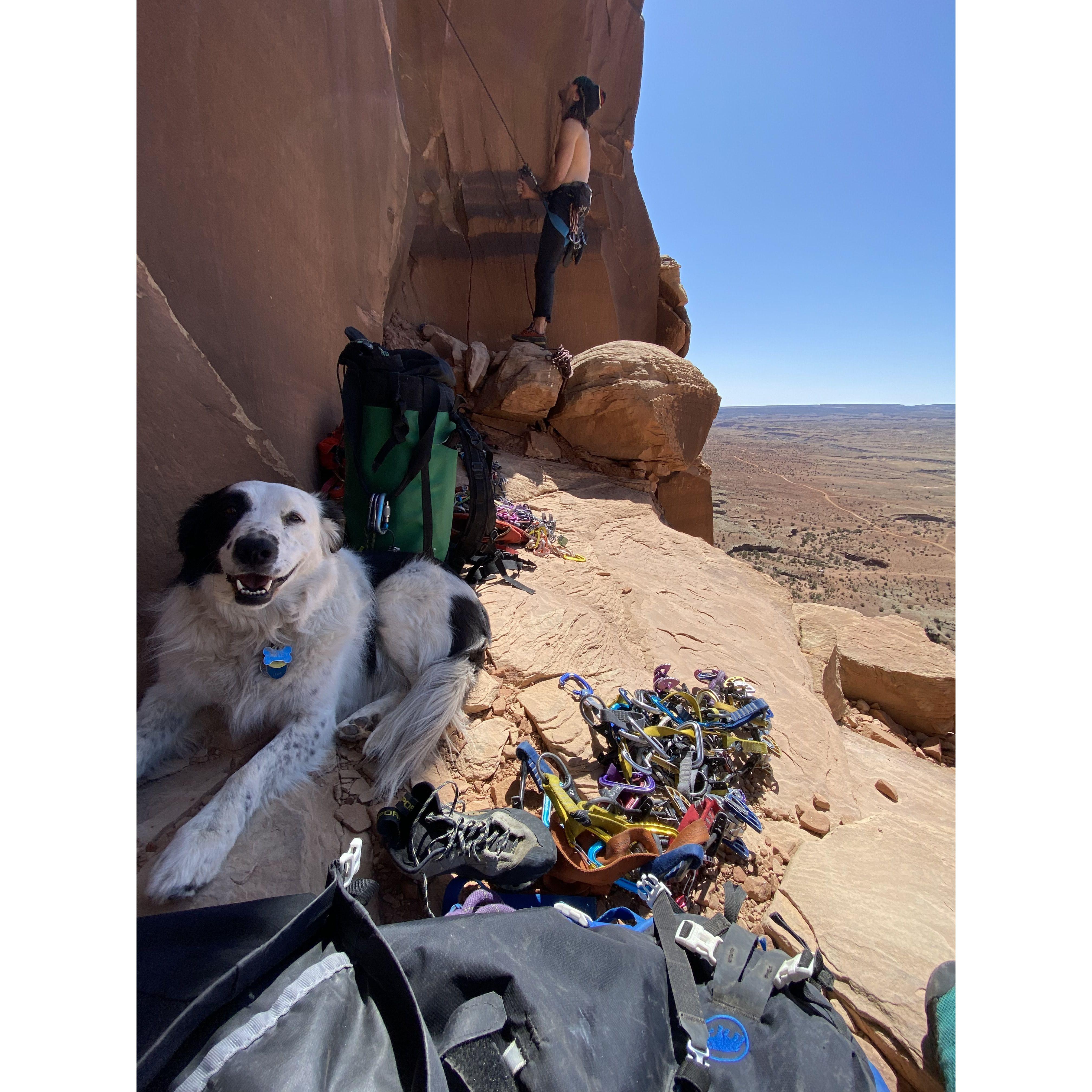Our dog Harley hanging at a Crag in the Swell.