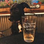 The Tap House at Catamount Glass