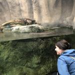 North Carolina Aquarium on Roanoke Island