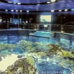 New England Aquarium