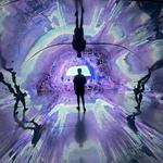 Wonderspaces Arizona