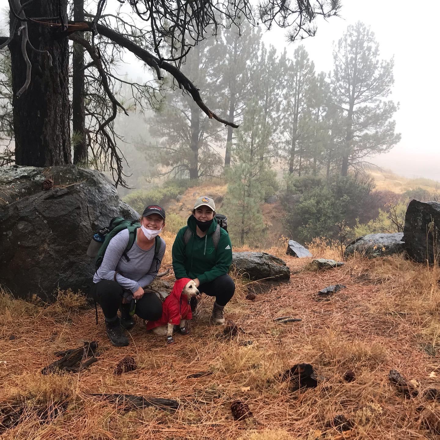 Teddy's first hike!