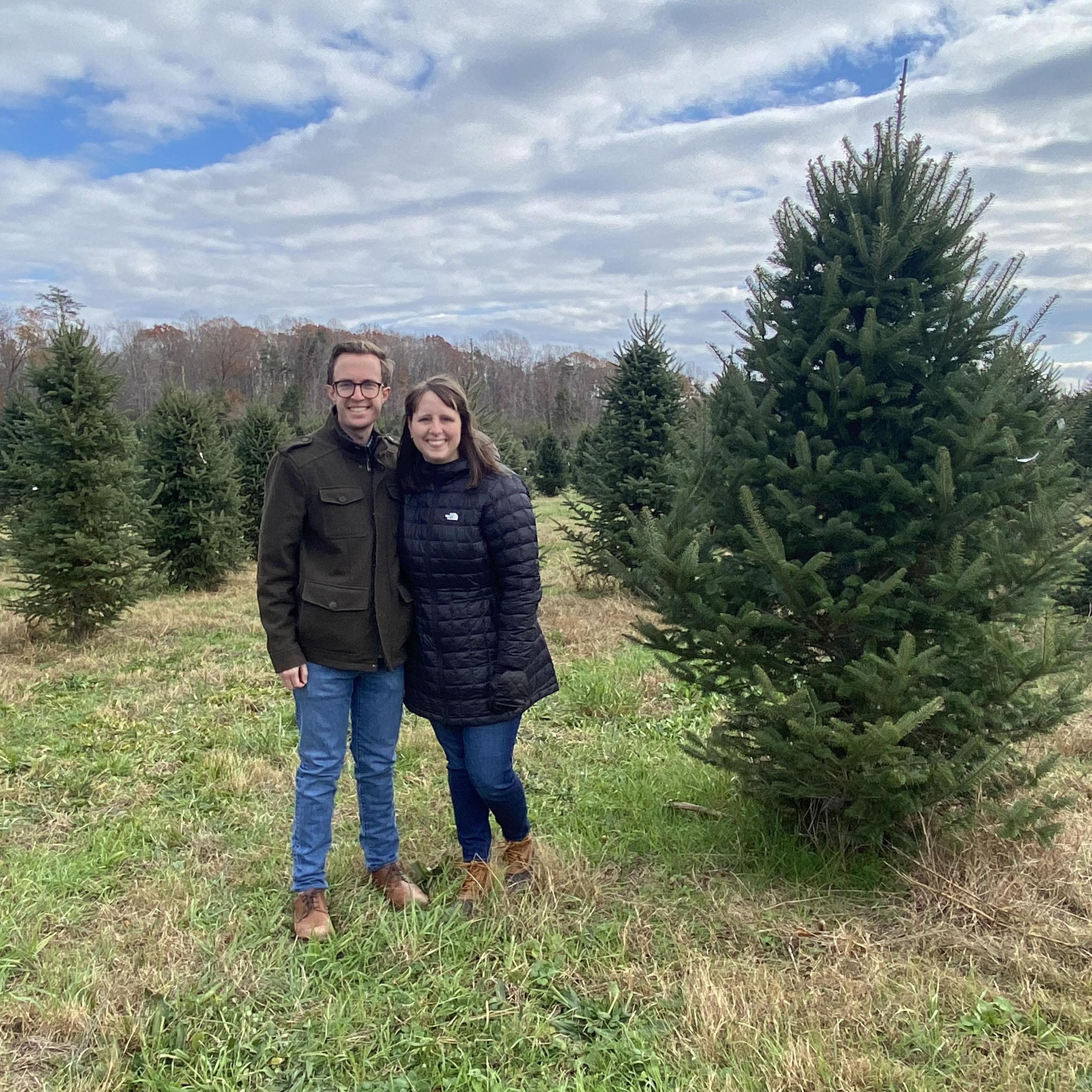 We came, we saw, we picked a tree