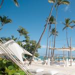 Jellyfish beach club and restaurant punta cana