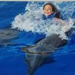 Dolphin Signature Swim