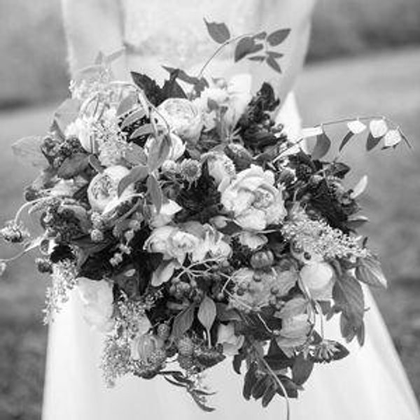 Wedding Album Fund