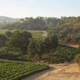 Paso Robles Wine Tasting