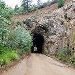 Gold Camp Road