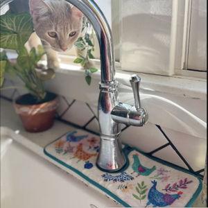 Reversible Faucet Sink Mat - Chickens