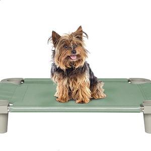 Acrimet Cooling Elevated Pet Dog Bed Cot for Small Dogs, Washable and Breathable Mesh Fabric, Stainless Steel Frame, Indoor & Outdoor Use, (Size: 26”x 20”) (Green Color) (1 Unit)