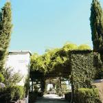 Signor Vineyards