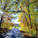 United States National Arboretum
