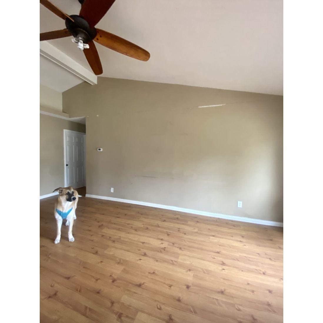 Deeda loved our new home (although she did not help with the move).
