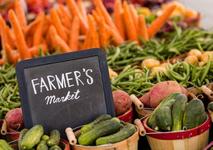 Steamboat Springs Farmers Market