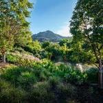 Red Butte Garden and Arboretum