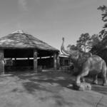 Birmingham Zoo