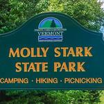 Molly Stark State Forest