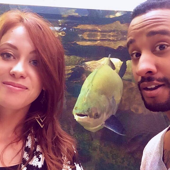 shedd aquarium