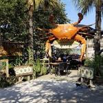 Far but Fantastic - The Crab Shack