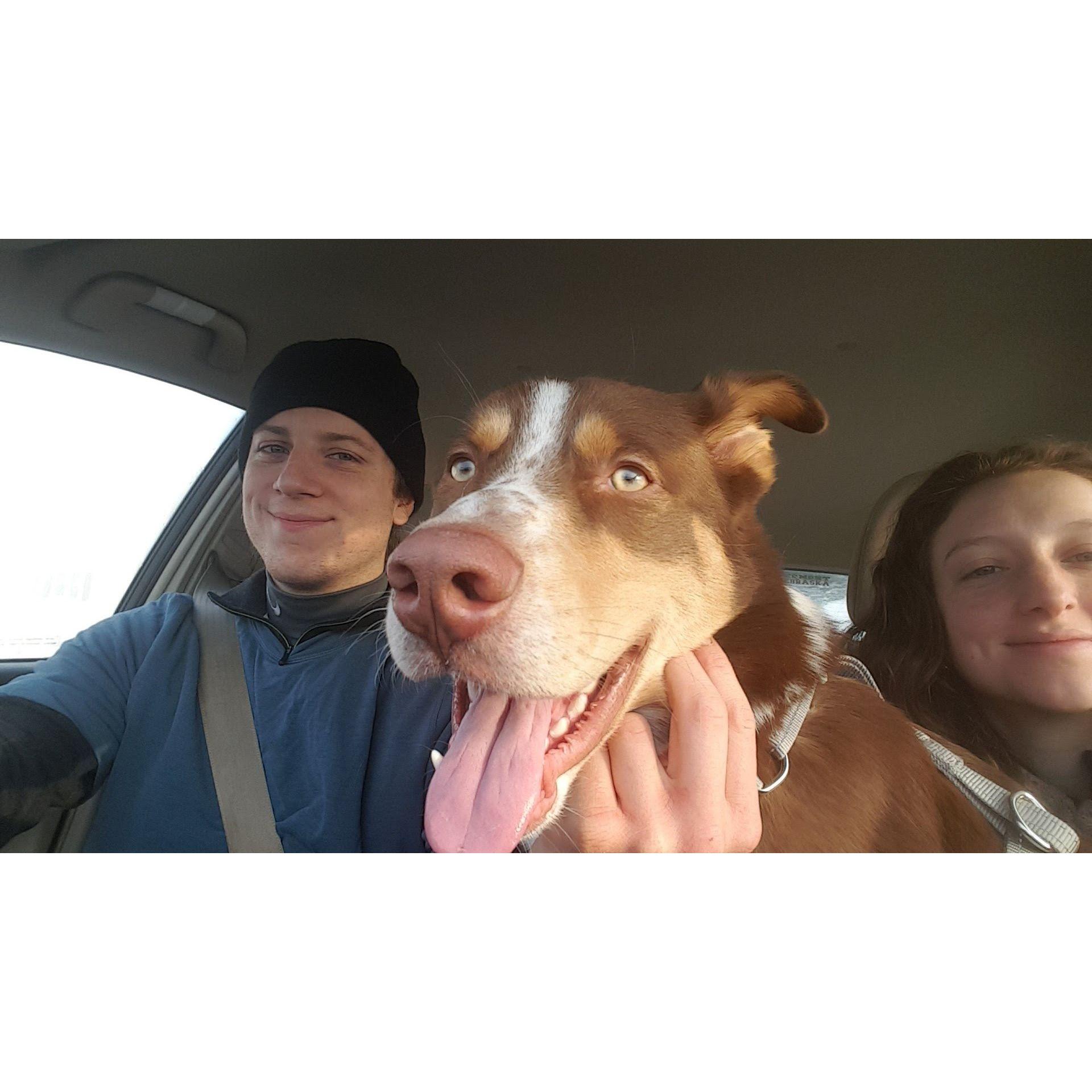 Copilots